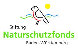 Logo mit Vogel und Sonne, in einfachen Strichen gezeichnet