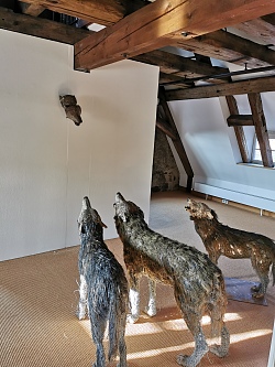 Drei Wölfe stehen vor einer Wand. aus der Wand ragt der Kopf eines weiteren Wolfes.