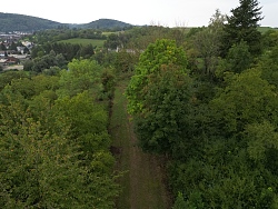 Die Landschaft auf dem Dammenberg. Viele Grüne Bäume, stark bewachsen.