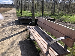 Seniorengerechte Sitzbänke im Lahrer Seepark