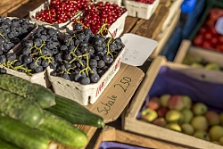 Frische Obst und Gemüse 