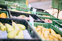 Lisette Cardozo singt auf dem Lahrer Wochenmarkt