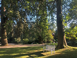 Schattenspendende Bäume laden die Gäste des Lahrer Stadtparks zum Entspannen ein.