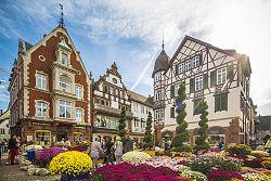 Das Foto zeigt den mit Chrysanthemen geschmückten Sonnenplatz