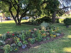 Großaufnahme vom Blumenbeet in Dole