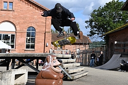 Skater macht einen Kickflip