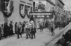 Beamten-Arbeitsgemeinschaft im Kreis Lahr beim Umzug zum 1. Mai 1933 in Lahr