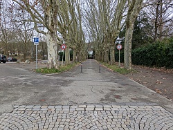 Blick in die Allee zum Parktheater 
