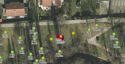 Ausschnitt aus dem Geoportal der Stadt Lahr mit dem Standorte der zu fällenden Eiche (rot) und der geplanten Jungbäume (gelb)&#13;&#10;