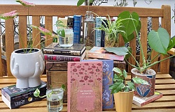 Das Foto zeigt verschiedene Bücher und Pflanzen auf einer Bank arrangiert