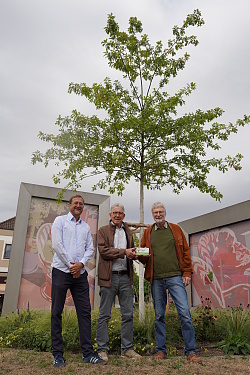 Von links: Fabian Roßmanith, Dr. Wolfgang G. Müller und Claus Vollmer präsentieren das erste „Bürger Baum“-Schild an der Eiche auf dem Kreisel an der Gärtner-/Turmstraße.