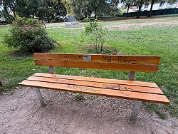 Parkbank aus Holz, mit schwarzen Schriftzeichen beschmiert, im Hintergrund ein Fußballtor