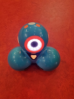 Großaufnahme vom Roboter Dash