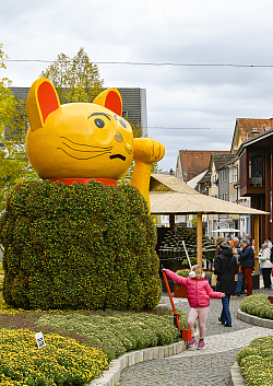 Japanisches Beet am Urteilsplatz mit Maneki-neko Winkekatze