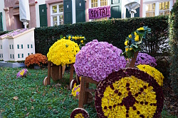 Das Foto zeigt im Vorgarten des Spitals stehende Holzstühle. Sie sind mit Chrysanthemen geschmückt und haben Räder aus Chrysanthemen, so dass sie Rollstühle darstellen. Außerdem noch weiter Blumenarrangements.