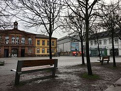 Sitzbänke unter den Bäumen auf dem Lahrer Rathausplatz, 2020 über den Lahrer Stadtgulden realisiert