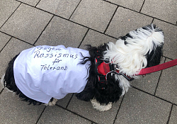 Ein Hund trägt ein weißes Mäntelchen mit der Aufschrift: Gegen Rassismus für Toleranz
