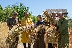Das Gruppen Foto zeigt die Ährensammler: Von l.n.r. Frieder Grundhöfer, Detlef Lingner, Isabell Kollmer, Rüdiger Metzger-Thessen u. Klaus Blawert.Sie tragen verschiedenfarbige römische Tuniken und halten jeweis ein Büschel der Ernte in der Hand. Sie stehen inmitten der Felder vor dem römischen Streifenhaus. 