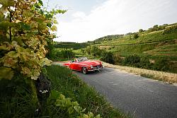 Die Stadt Lahr zeigt auf ihrer Seite lohnende Ausflugsziele der Region: hier die Badische Weinstraße. Das Bild zeigt eine Straße, die sich durch die Weinberge schlängelt, auf der ein rotes Cabrio fährt. 