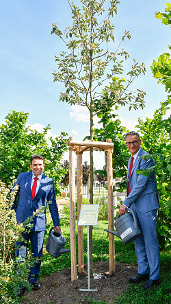 Der indische Generalkonsul Mohit Yadav und Oberbürgermeister Markus Ibert (von links) pflanzen eine Mehlbeere im Lahrer Bürgerpark.