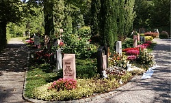 Das Bild zeigt das gärtnergepflegte Grabfeld auf der Bergfriedhof Lahr