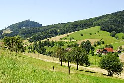 Das Bild zeigt einen Blick über grüne Wiesen, Wald und ein typisches Schwarzwaldhaus zur Burg Hohengeroldseck, die am Horizont auf einem bewaldeten Berg auftaucht.