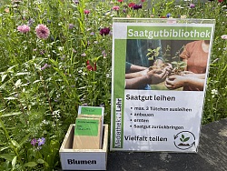 Saatgutbibliothek Flyer ausgestellt in einem Blumenbeet
