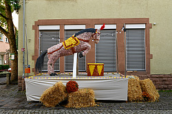 Der Reitverein Lahr e.V. hat das Motto „Manege frei!” bei der Chrysanthema 2023 mit einem Zirkuspferd umgesetzt – der Blütenwagen wurde mit einem ersten Preis ausgezeichnet.