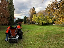Planzmaschine von hinten auf einer Wiese im Stadtpark
