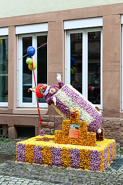 Der Blütenwagen „Älter, weiter, schneller“ des Bogensportclubs Lahr hat bei der Chrysanthema 2023 eine menschliche Kanonenkugel dargestellt und einen ersten Preis erhalten.