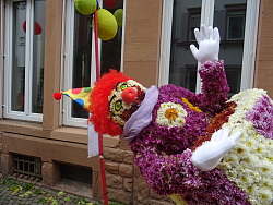 Ein Bunter Blütenwagen voll mit Chrysanthemen. Er zeigt einen Clown der in einer Kanone sitzt.