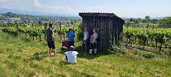 Das Bild zeigt eine kleine Personengruppe während einer Weinprobe inmitten der Weinberge vor einem kleinen Holzschopf.