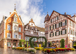 Erlebe Lahr Chrysanthema 2025 Blütenmeer am Sonnenplatz