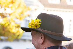 Chrysanthema Lahr Gästeführungen