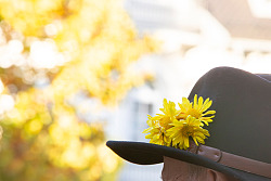 Chrysanthema Lahr Gästeführungen