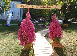 Große pinkfarbene Chrysanthemen-Pyramiden stehen an einem Holzbohlenweg, der auf der Grünfläche im Rathaus-Innenhof zur Chrysanthema angelegt wurde. Über den Büschen hängt ein Holzschild mit der Aufschrift &#34;Ahajute und der Wolkenfresser&#34;