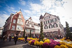 Zu sehen ist der Sonnenplatz während der Chrysanthema.