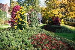 Das Foto zeigt viele bunten Blumen mit einem Gebäude im Hintergrund.