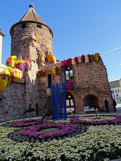 Mit Chrysanthemen geschmückter Storchenturm in Lahr 2018