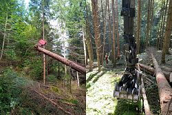 Links: Einsatz eines Kurzstreckenseilkranes beim Vorliefern eines frisch geernteten Baumstammes im Lahrer Stadtwald, rechts: Vorlieferung von Baumstämmen mittels Bodenzugs aus unwegsamem Gelände