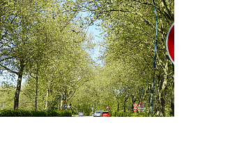 Bild von der Brücke im Frühling mit Schild 16 to