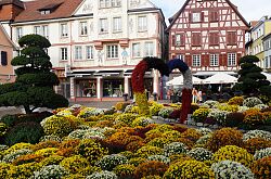 Foto Europa-Parkt-Beet