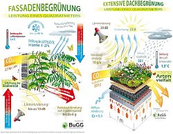 Plakat Dachbegrünung und Extensive Dachbegrünung Beispiel