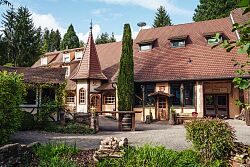 Hotel Restaurant Brauhaus Dammenmühle