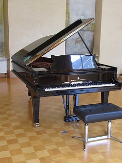 Ein Flügel von Steinway & Sons steht im Pflugsaal im Haus zum Pflug. Der Flügel ist schwarz glänzend. Davor steht ein Sitzhocker aus schwarzem Leder mit silbernem Metallfuß. Das helle, im Schachbrettmuster verlegte Parkett im Pflugsaal hebt sich kontrastreich ab. 