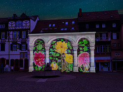 Florale Illumination auf dem Lahrer Marktplatz