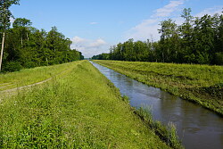 Blick entlang des Schutterentlastungskanals 