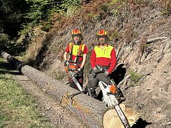 Zwei Forstarbeiter in Schutzkleidung und Helm stehen neben einem gefällten Baumstamm, jeder hält eine Motorsäge