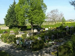 Das Bild zeigt den Friedhof Kippenheimweiler. Zu sehen sind einige Grabreihen mit Hecken, Bäumen und Wegen dazwischen. Im Vordergrund sind ein größerer Weg und ein Ständer mit grünen Gießkannen sowie ein Stahlkorb für Grünabfälle zu erkennen.