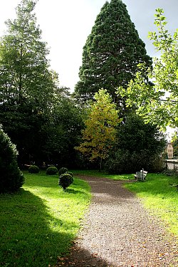 Das Bild zeigt den Friedrich-Maurer-Park. Links von einem Weg sind kleine und große Büsche zu erkennen, rechts eine Bank und ein Zaun, im Hintergrund Bäume.